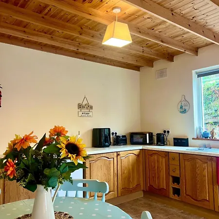 Hill View House Appartement Doolin